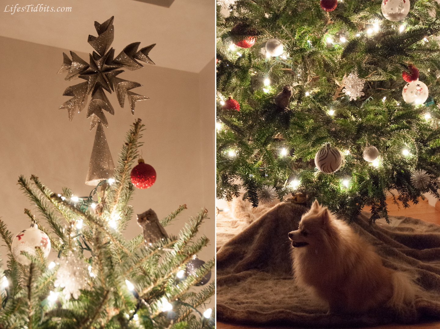 Merry Christmas! - Life's Tidbits