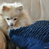 PhotoWeek_Sophi_2