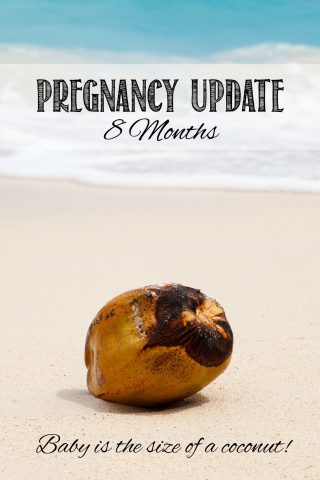 Pregnancy Update: 8 months pregnant the 3rd trimester, pregnancy log | Life's Tidbits