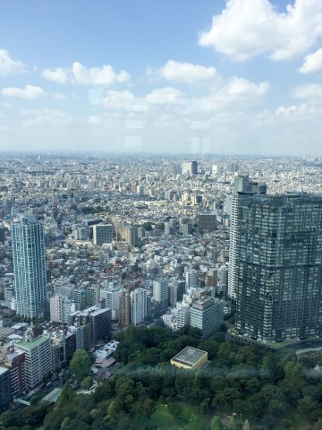 Tokyo Metropolitan Government Office