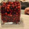 cranberries_invase