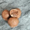 pbr_truffle_bite