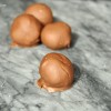 pbr_truffles